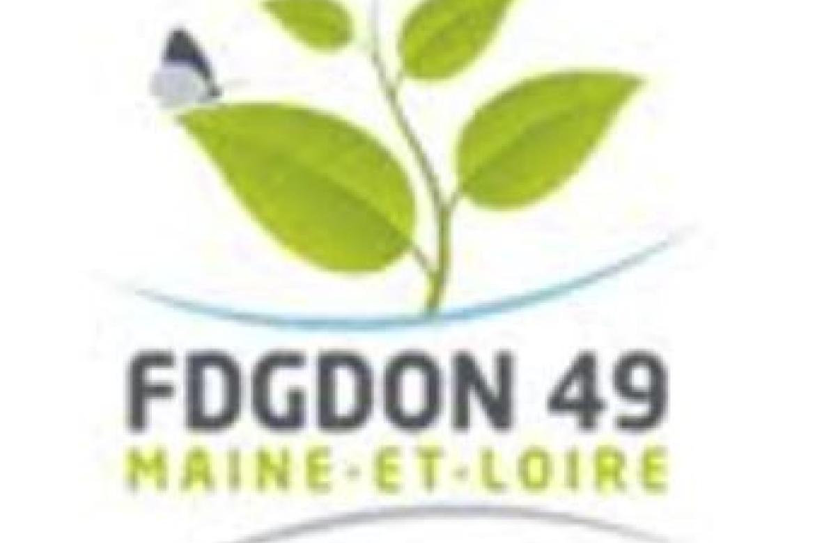 Les frelons asiatiques, soyons vigilants !