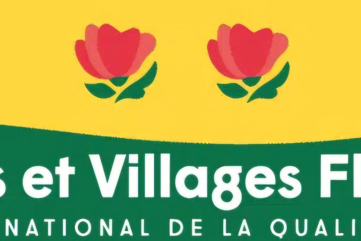 Notre 2e fleur retrouvée !