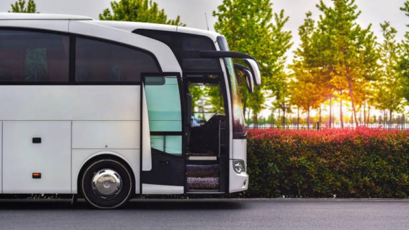 Bus
