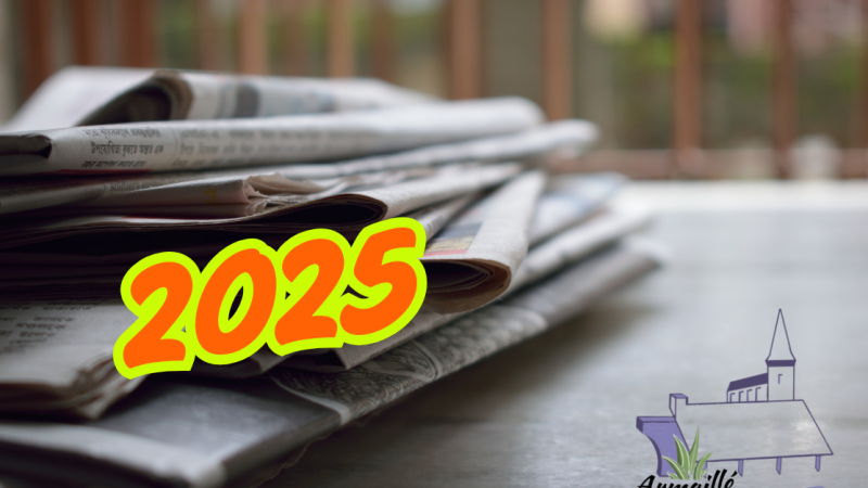 Les articles de presse en 2025