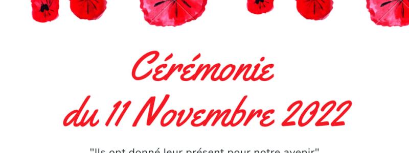11 novvembre