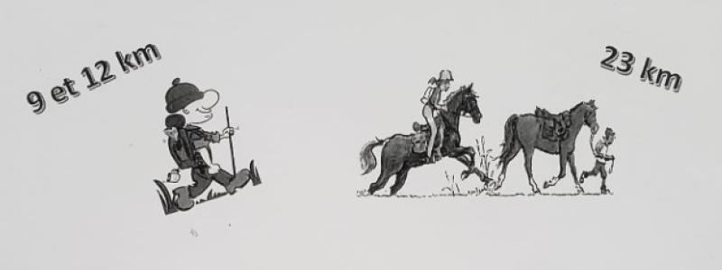 Rando à Armaillé