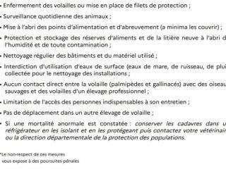 Lettre influenza