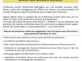 Lettre influenza