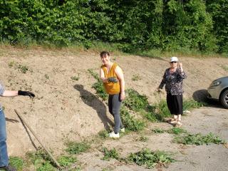 Travaux bordure