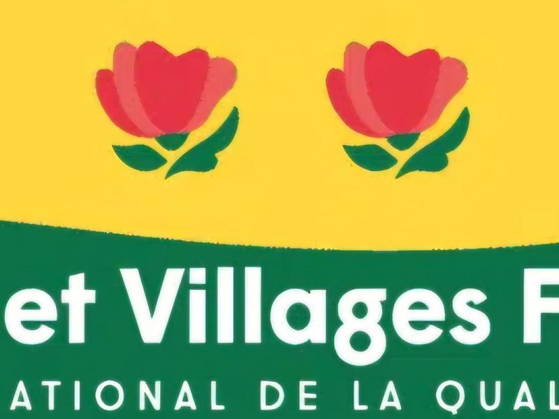 Notre 2e fleur retrouvée !